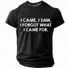 I Came, I Saw, I Forgot What I Came For Cotton-Blend Casual Text Letters Short Sleeve T-Shirt