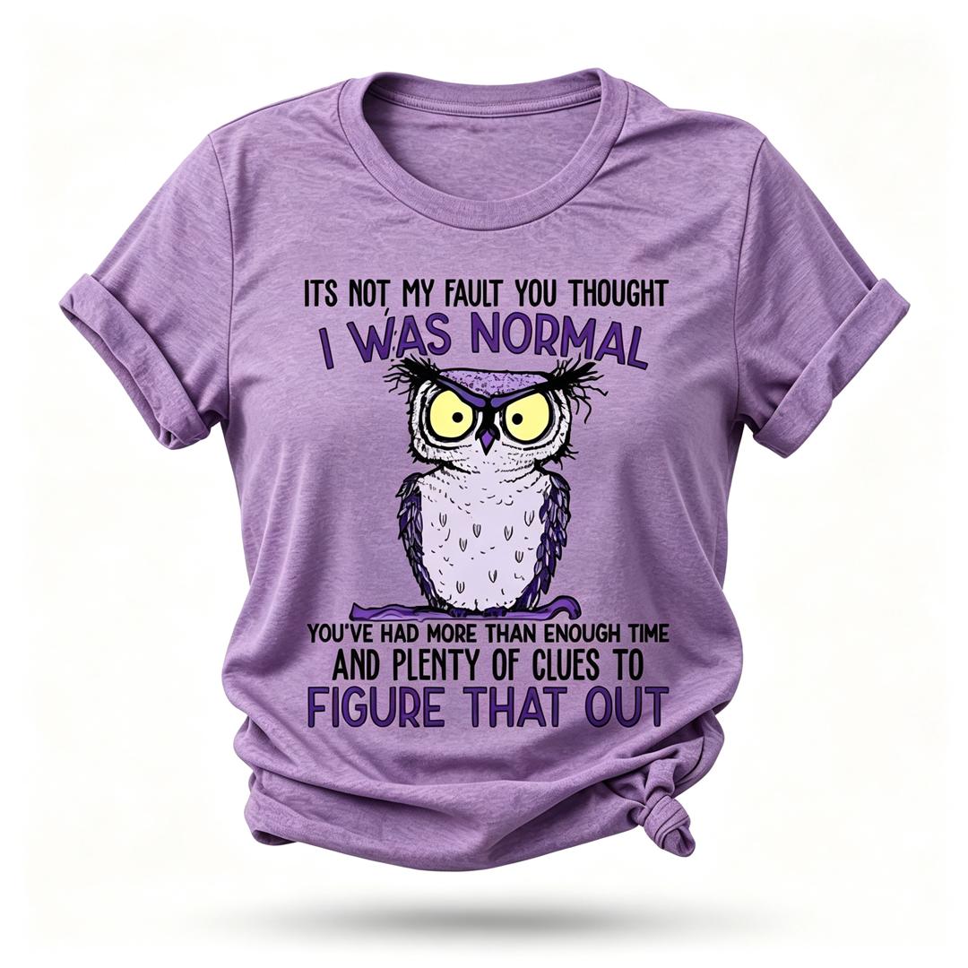 Não é minha culpa que você pensou em imprimir camiseta feminina com slogan 