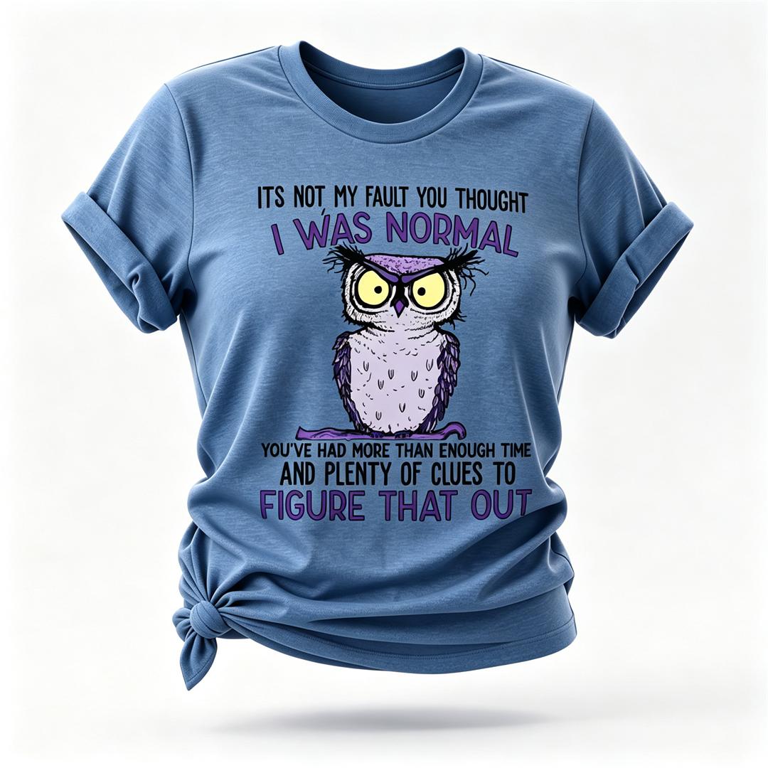 Não é minha culpa que você pensou em imprimir camiseta feminina com slogan 